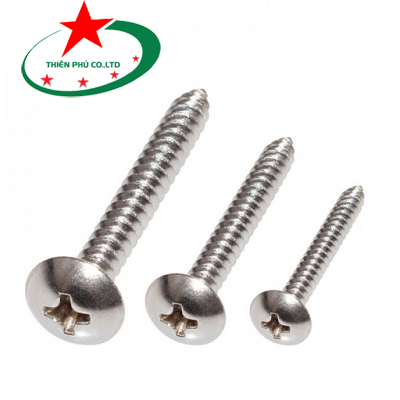 VÍT GỖ ĐẦU DÙ INOX, DIN 7984C